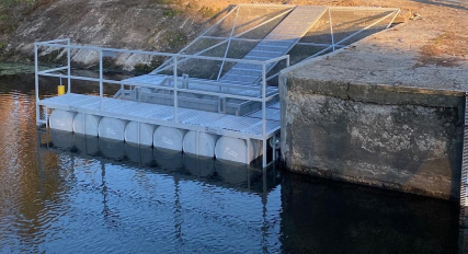 В Харкові на Удах (Річка Уди)