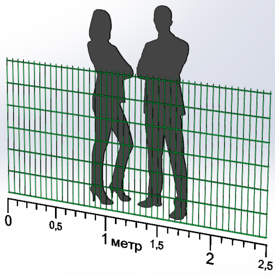 Панель огорожі дротяна Дуос H1,23–6/5/6 (1230x2500) оц Ст1 ППл RAL 6005