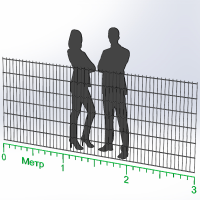 Панель огорожі дротяна Дуос H1,23–6/5/6 (1230x3000) оц Ст1 ППл RAL 7016