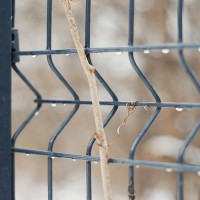 Панель огорожі дротяна Оригінал H2,23–4/4 (2230x2500) оц Ст1 ППл RAL 7016