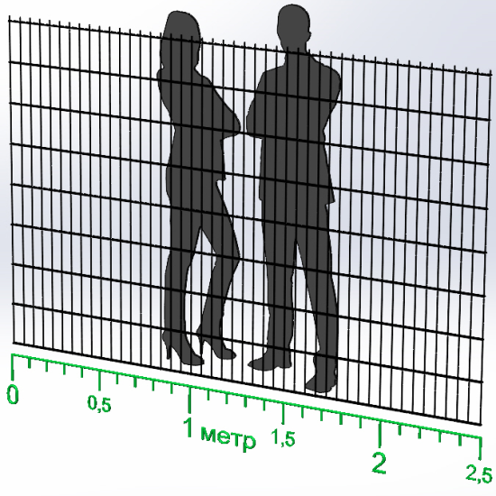 Панель ограждения проволочная Эконом Дуос H1,63–5/4/5 (1630x2500) оц Ст1 без покраски