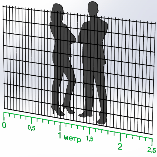 Панель огорожі дротяна Економ Дуос H1,63–6/5/6 (1630x2500) оц Ст1 без фарбування